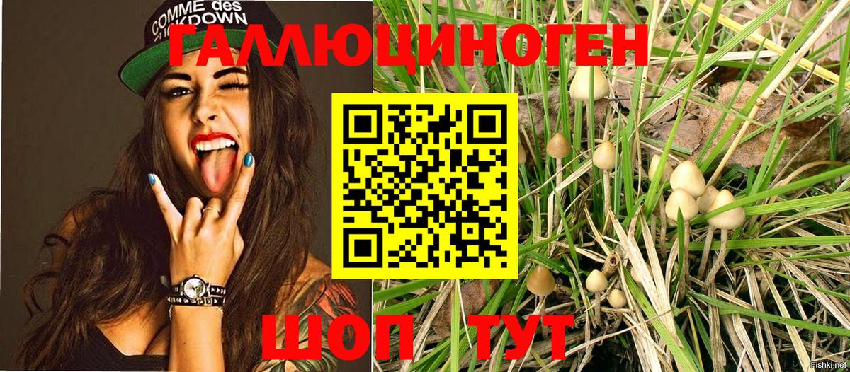 Кемерово  Псилоцибиновые грибы мухоморы  купить наркотик  Вход с VPN 